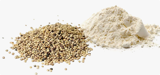 Phụ gia thực phẩm Guar Gum