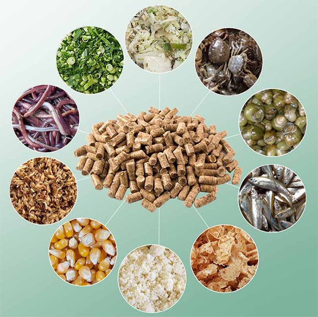 Thức ăn hỗn hợp đặc biệt