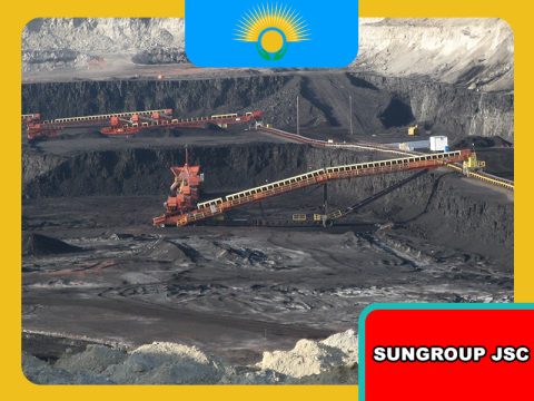 Than năng lượng và chiến lược phát triển bền vững cho doanh nghiệp