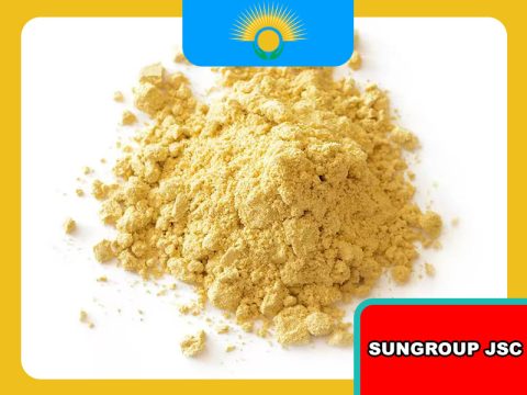 Alcalase có an toàn không? Những điều cần biết trước khi sử dụng