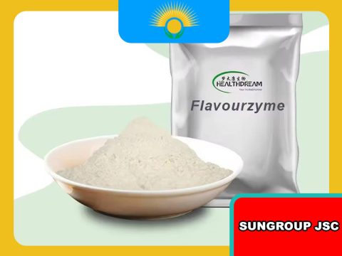 Các yếu tố ảnh hưởng đến hiệu suất thủy phân của Men Enzyme Flavourzyme