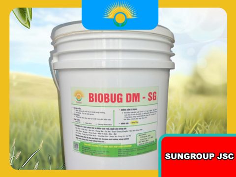 Chế phẩm vi sinh cho chăn nuôi giảm mùi hôi